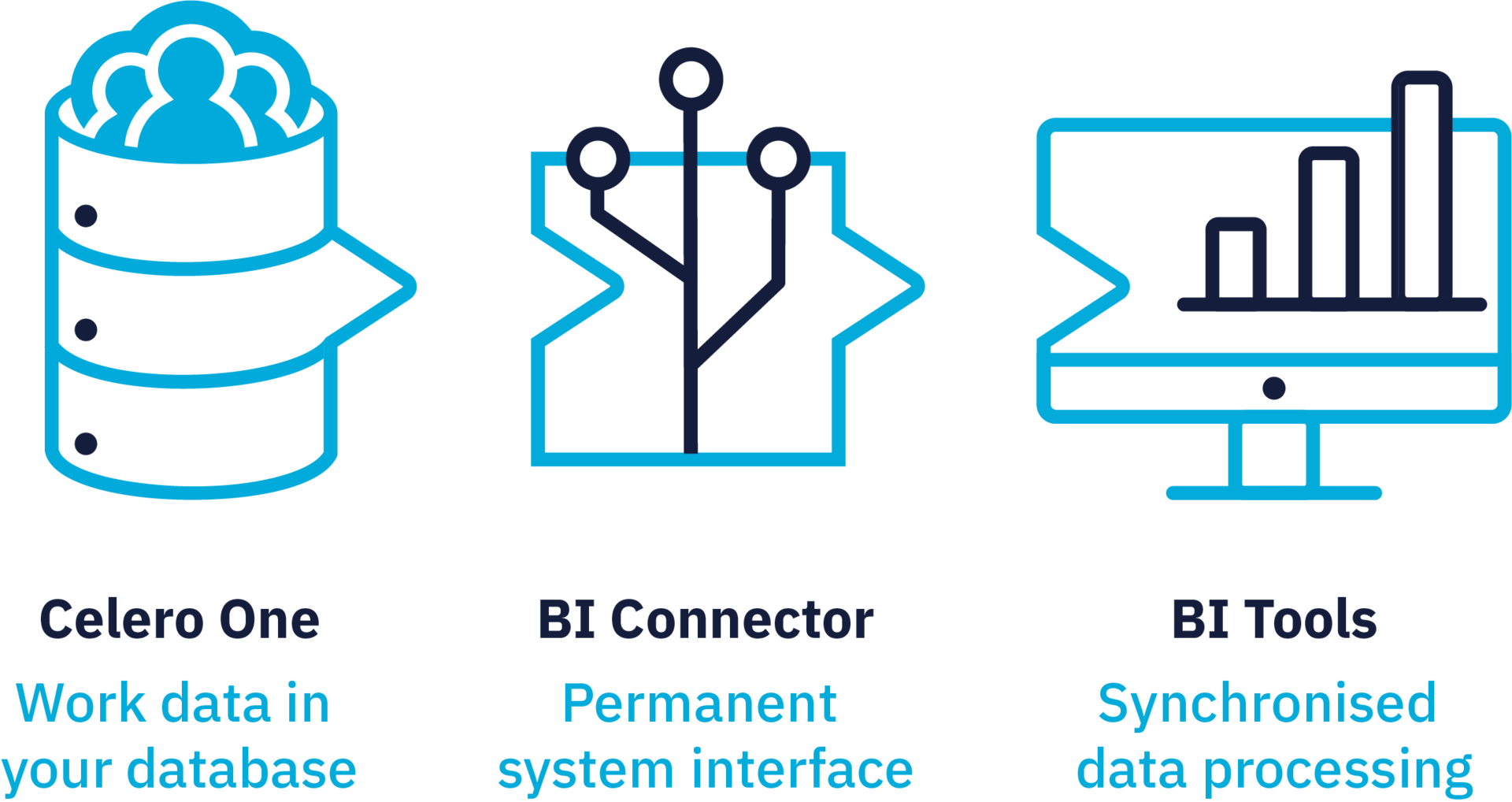 Business Intelligence Connector